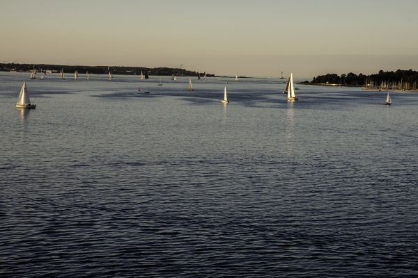 Sommer auf der Ostsee - (c) L Lammers.jpg